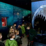 Aquarium-Finisterrae-4