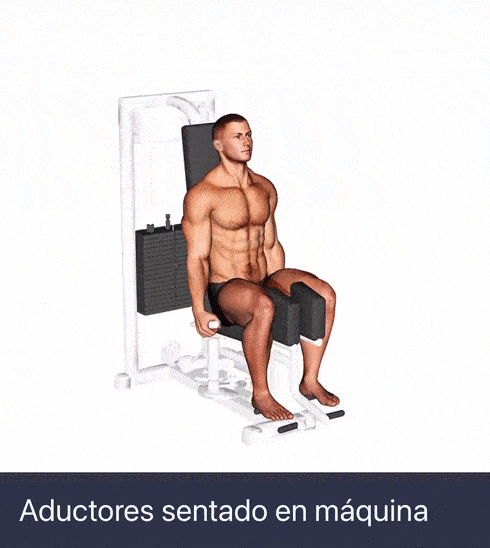 abductores maquina