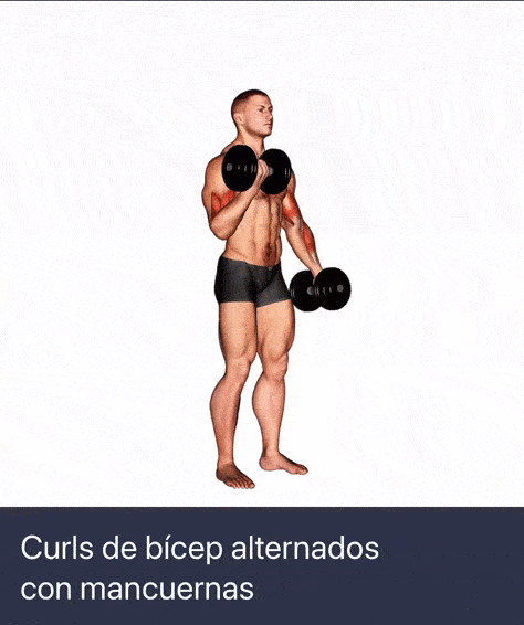 Curl biceps mancuernas